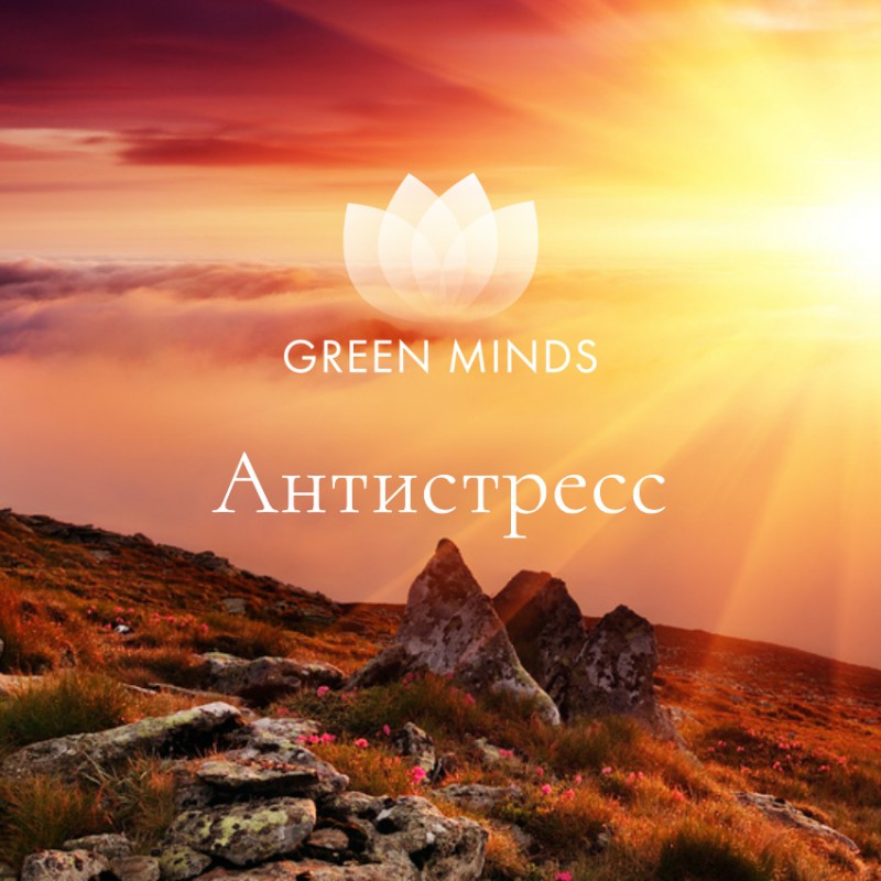 Аудиозапись MP3 для нейромедитации GREEN MINDS - «Антистресс»