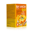 Коктейль со вкусом тыквенного супа с куркумой BALANCER SLIM, 5 саше