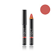 Foet Satin Lipstick сатиновая помада цвет «Терракотовый», 2,4 г