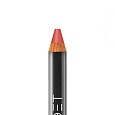 Foet Satin Lipstick сатиновая помада цвет «Терракотовый», 2,4 г